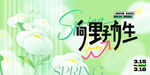 春季海报
