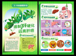 全国爱肝日海报