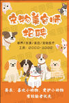 宠物美容师招聘海报