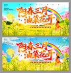 阳春三月油菜花开海报