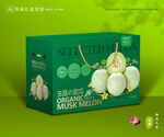 玉菇甜瓜包装 冰淇淋甜瓜
