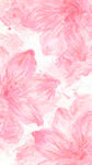 粉色水彩花卉图案背景
