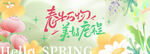 清新治愈春日花卉背景主视觉kv