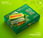 甜瓜礼盒 博洋蜜瓜包装