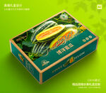 博洋蜜瓜礼盒 甜瓜包装
