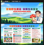 预防毒蘑菇中毒展板宣传栏