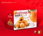 枇杷包装 琵琶果礼盒