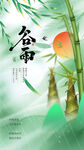 谷雨时节竹林清新景象