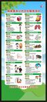 国家基本公共卫生服务项目展架