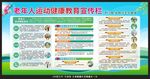 老年人运动健康教育宣传栏