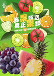 水果海报