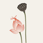 水墨风荷花蜻蜓插画