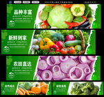 新鲜多样有机蔬菜展示