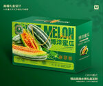 博洋蜜瓜包装 甜瓜礼盒
