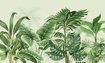 热带雨林背景