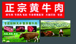 黄牛肉