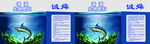 海洋主题装饰宣传页设计