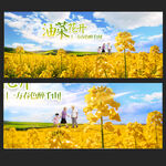 油菜花展板展示