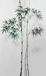 竖幅水墨竹子