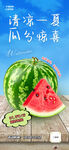 西瓜海报