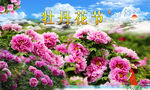 牡丹花节  