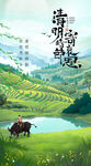 清明海报