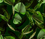 翠绿叶片纹理背景图案