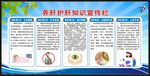 全国爱肝日宣传栏