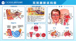耳鼻咽喉结构图