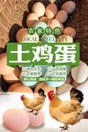 土鸡蛋
