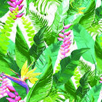 热带植物水彩绘