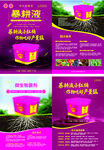 宣传海报  DM单  产品单页