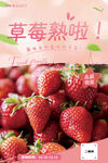 草莓海报