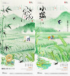 谷雨小满稻田风景海报