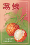 复古风荔枝插画
