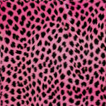 粉色豹纹图案纹理