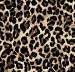 数码印花 豹纹图案纹理
