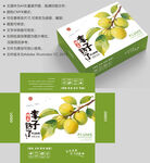 李子包装 水果盒子