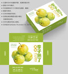 李子包装 水果盒子