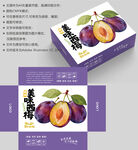 新疆西梅包装盒设计图