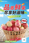 品质鲜果海报