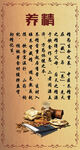 中医养精医学展板