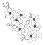 手绘花卉线条图 矢量图