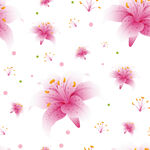 粉色百合花无缝花卉图案