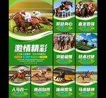 赛马图片
