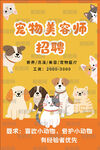 宠物美容师招聘海报