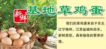 基地草鸡蛋
