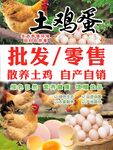 土鸡蛋