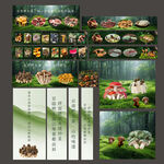 野生菌海报灯箱