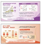 职业生涯个人与组织